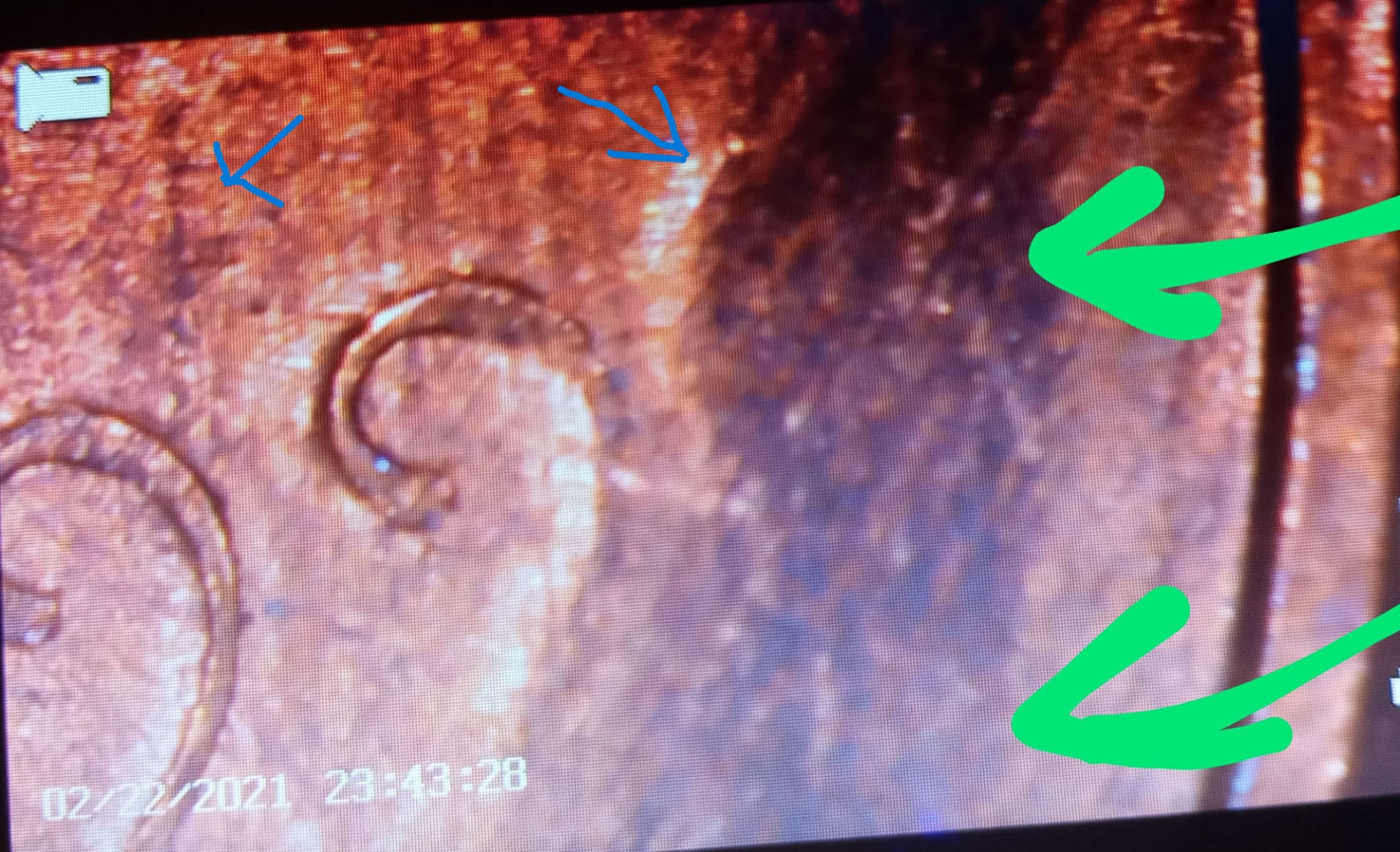 Need-Help-With-This-No-Date-Penny